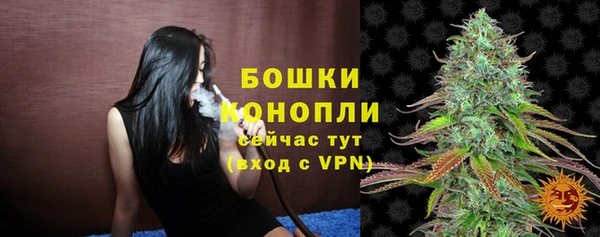 трава Покачи