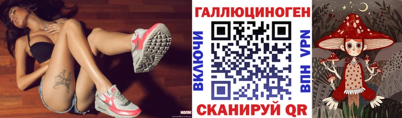 Галлюциногенные грибы Psilocybine cubensis  Струнино 